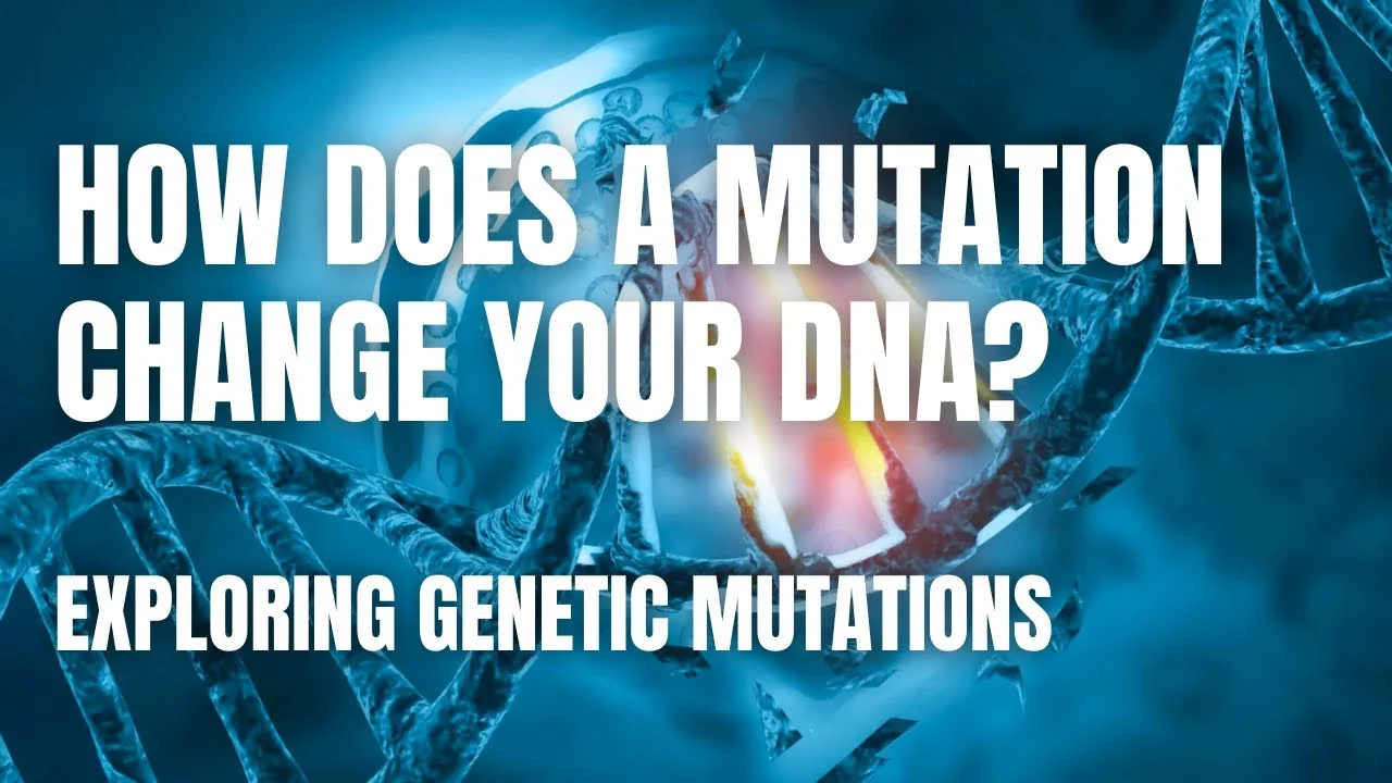 Genetic Mutations: How Changes in DNA Affect Organisms