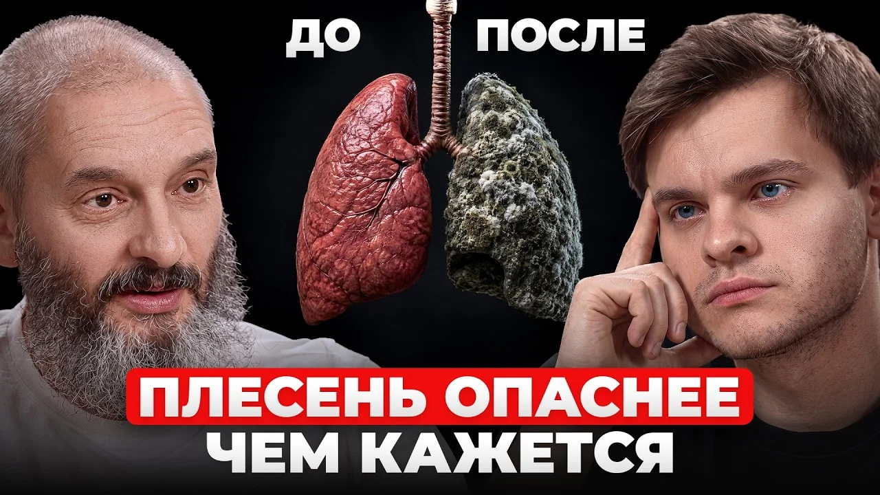 Грибы: Величайшая угроза и нераскрытый потенциал для человечества