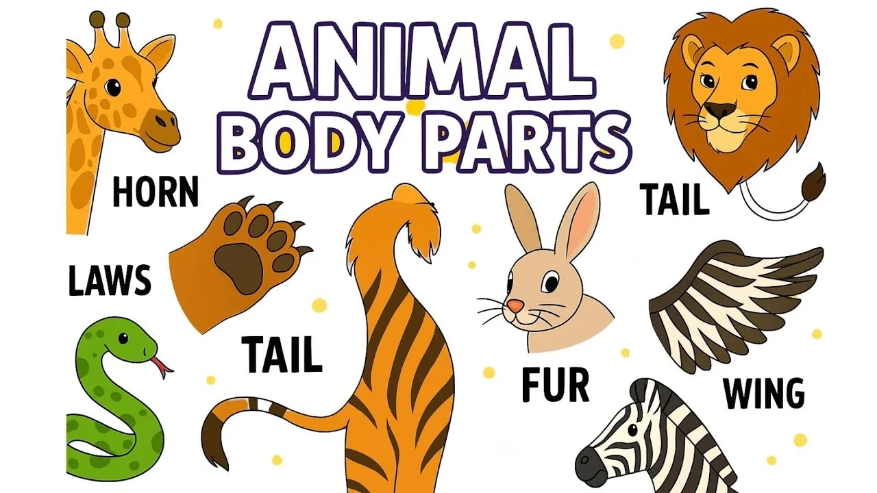 Discover Animal Body Parts: From Trunks to Tails