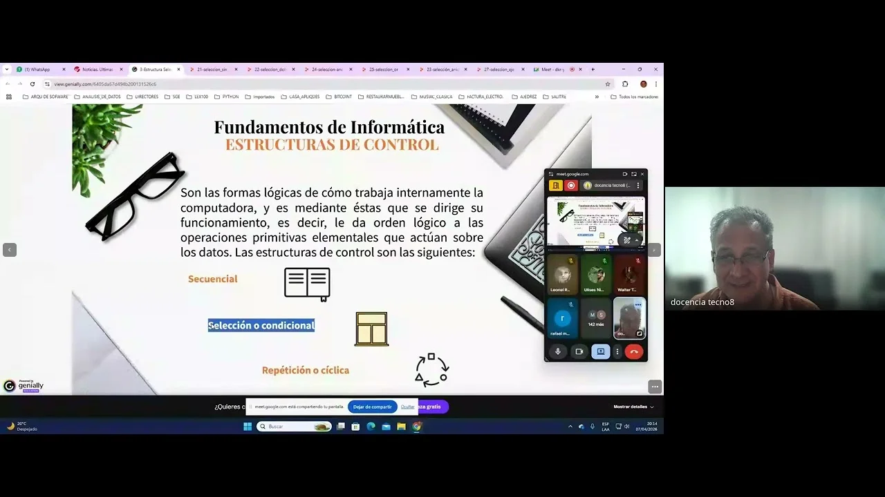 Estructura de control de selección en programación