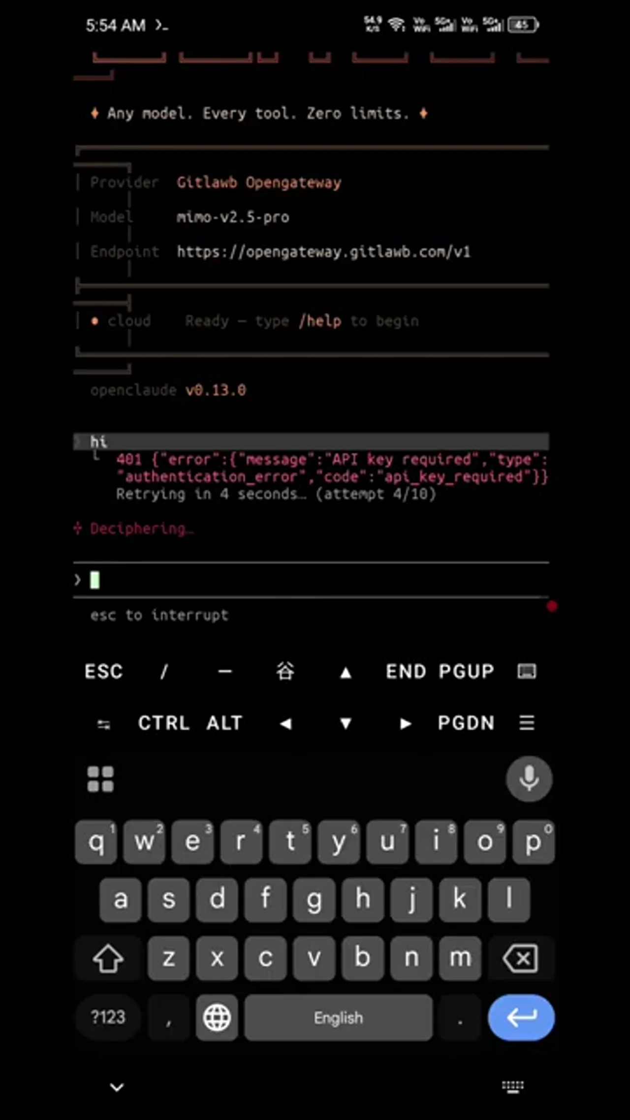 Screenshot of the Termux application showing an API key required error message. The terminal displays provider, model, and endpoint details, followed by an error message indicating that an API key is required for authentication.