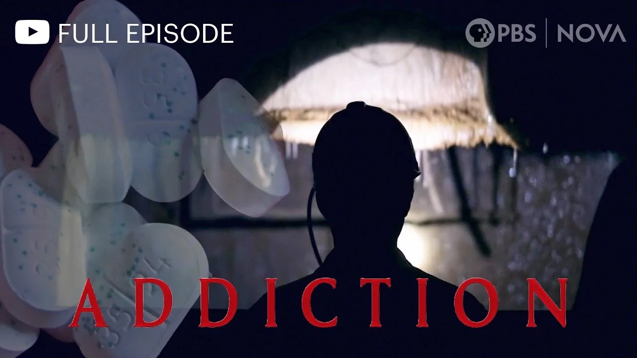 Addiction: A Devastating Epidemic and the Science Behind It